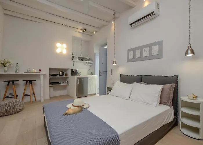 Venetian 度假居 Naxos City